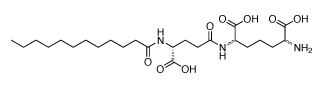 Chemical structure of C12-iE-DAP