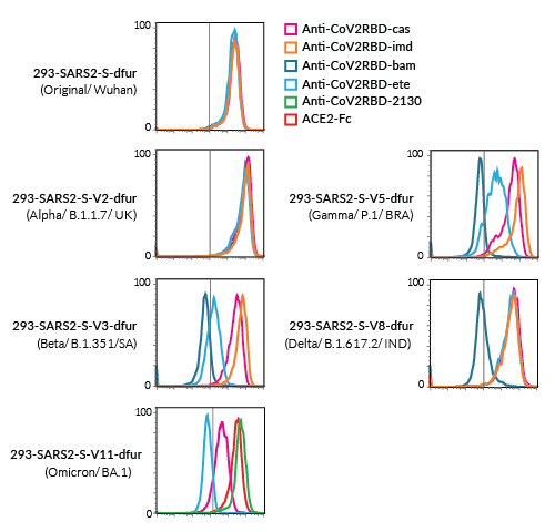 FACS screening assays of Spike variants