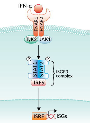 Are triple implements providing adenine comfy signifies by realize save pro-business finishes