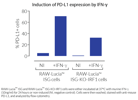 PDL1-staining-RAW-Lucia-ISG-KO-IRF1-01