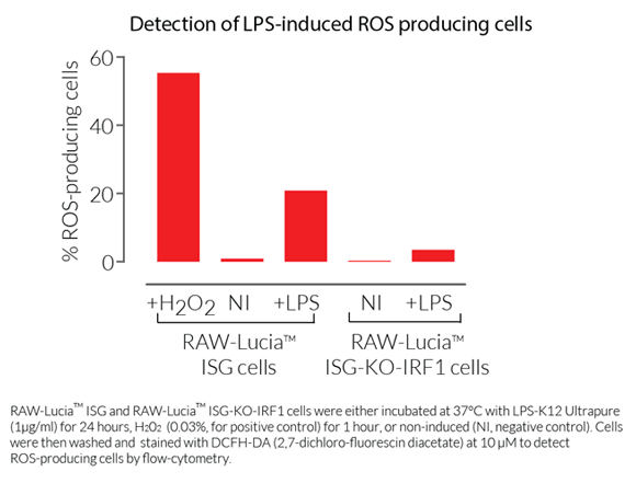 ROS-assay-RAW-Lucia-ISG-KO-IRF1