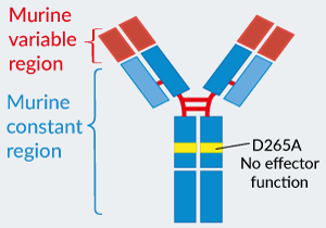 InvivoGen’s engineered Anti-β-Gal-mIgG1e3 antibody