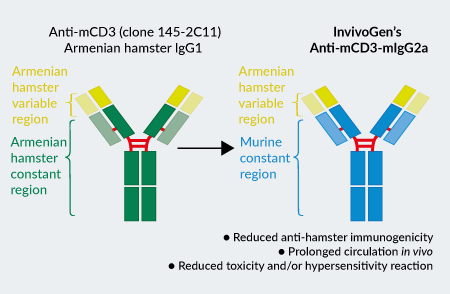InvivoGen’s engineered Anti-mCD3-mIgG2a InvivoFit™ antibody