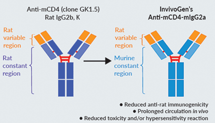 InvivoGen’s engineered Anti-mCD4-mIgG2a InvivoFit™ antibody