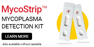 MycoStrip™ - Mycoplasma Detection Kit - INVIVOGEN