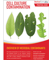 PRACTICAL GUIDE: CELL CULTURE CONTAMINATION