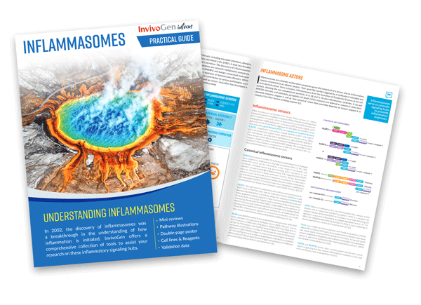 A PRACTICAL GUIDE TO UNDERSTANDING INFLAMMASOMES