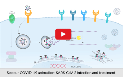 COVID-19 | SARS-CoV-2 | Research Tools | InvivoGen