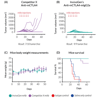 In vivo efficacy of InvivoGen’s Anti-mCTLA4-mIgG2a