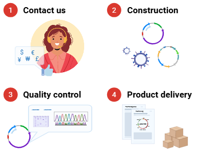 Custom cloning service