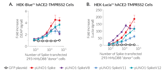 Spike-mediated cell fusion reporter assay