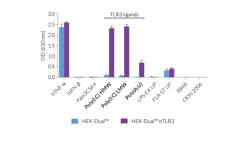 Human TLR3 Reporter HEK293 Cells (NF-κB and IRF)
