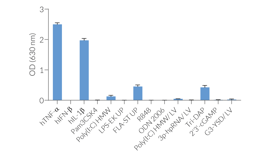 HEK293 Reporter Cells (NF-κB and IRF)