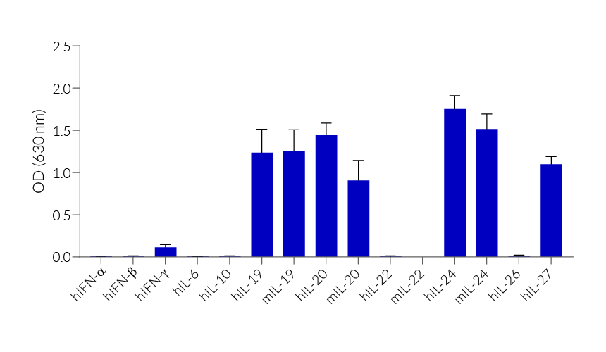 IL-19, IL-20, IL-22 & IL-24 Reporter HEK 293 Cells