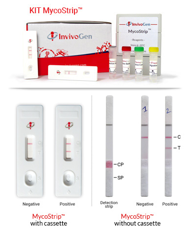 MycoStrip™ - Mycoplasma Detection Kit