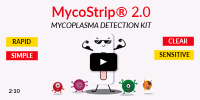 MycoStrip® 2.0 - Mycoplasma Detection Kit video