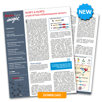 Read the newsletter Read the newsletter