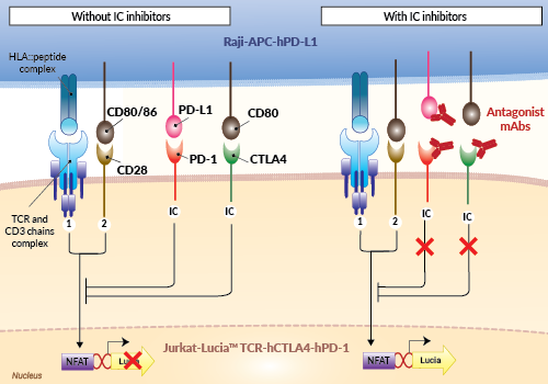 (PD-1/CTLA4)/PD-L1 assay principle