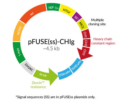 pFUSE-CHIg