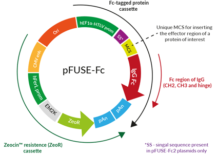 pFUSE-Fc plasmid collection