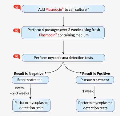 Cell culture treatment using Plasmocin®