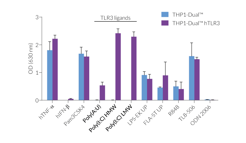 Human TLR3 Reporter THP-1 Cells