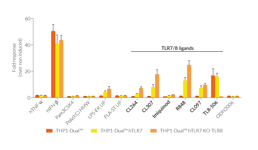 Human TLR7 and TLR8 Reporter THP-1 Cells