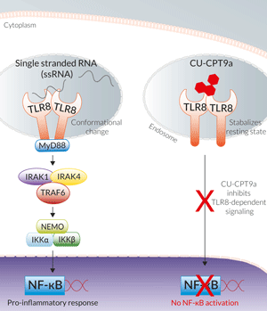 Inhibition of TLR8 signaling by CU-CPT9a