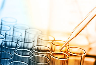Custom Cell Line Development and Screening services