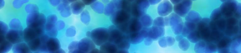 Tet-On Sytem InvivoGen