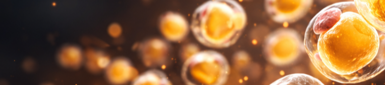 Immunometabolism-banner