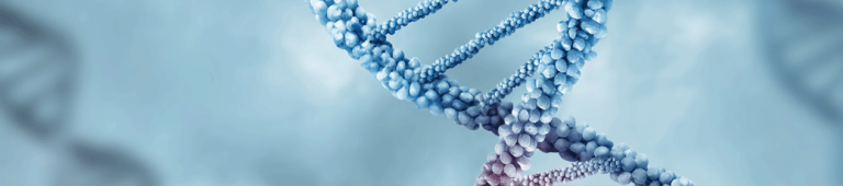 siRNA tool InvivoGen