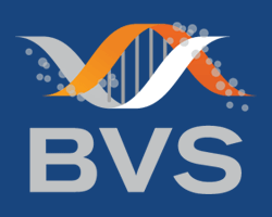 BSV-2026