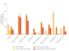 Functional validation of THP1-Dual™ hTLR3 KO-MAVS cells (IRF responses)