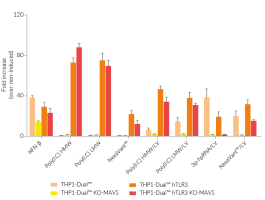 Functional validation of THP1-Dual™ hTLR3 KO-MAVS cells (IRF responses)