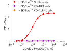 Functional validation of UD(PS)-L-Heptose