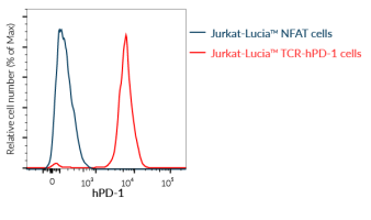 Validation of human PD-1 expression by Jurkat-Lucia™ TCR-hPD-1 cells.