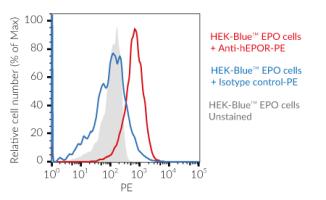 Validation of the expression of human EPO-R by HEK-Blue™ EPO cells