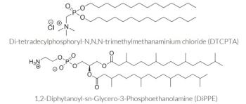 Chemical Structures of the Lipid Components of LyoVec™