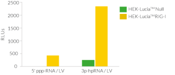 IRF response to cytosolic 3p-hpRNA and 5’ppp-dsRNA in HEK-Lucia™ RIG-I cells 