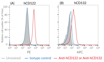 Validation of human CD122, and CD132 expression by HEK-Blue™ IL-2Rβ/γ cells