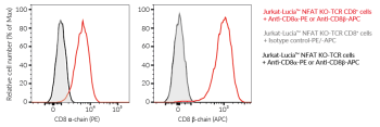 Validation of CD8 expression in Jurkat-Lucia™ NFAT KO-TCR CD8+ cells