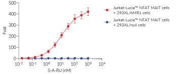 MR1-dependent Lucia® activity in MAIT TCR reporter cells