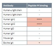 Peptide M binding