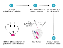 QUANTI-Blue™ Standard procedure