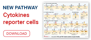 Cytokines pathway InvivoGen