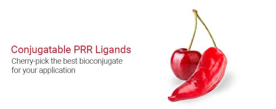 Conjugatable PRR Ligands