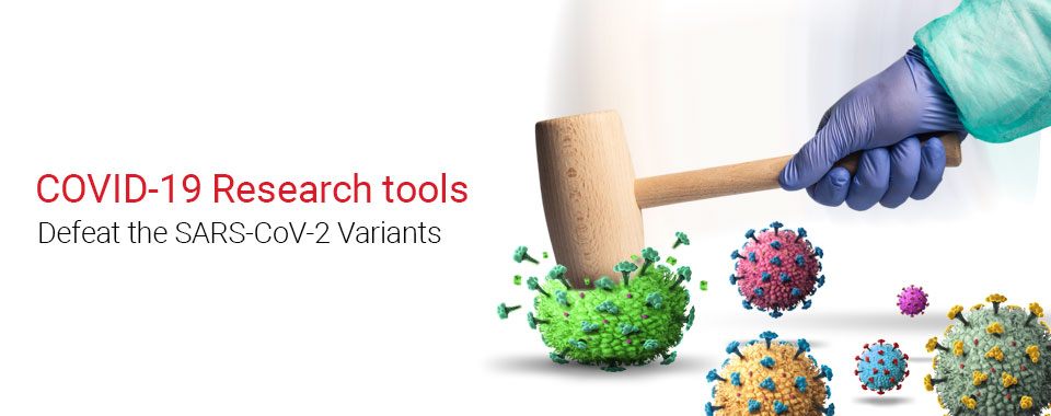 Defeat the SARS-CoV-2 Variants with InvivoGen Research Tools