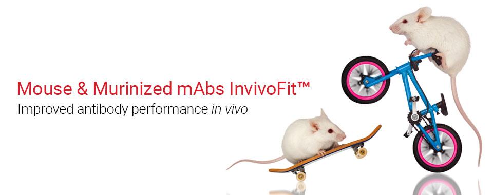 Mouse murinized mabs