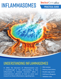 Inflammasomes - Practical guide